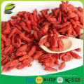 Goji fruit extraction dried fruit goji Berry